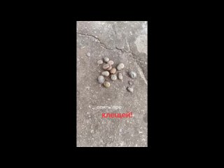 video by is overheard a great ustyug