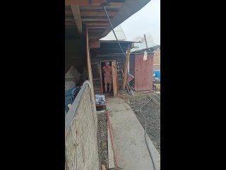 clip @videfunny | @videfunny