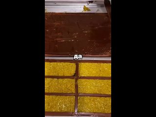 clip @videfunny | @videfunny