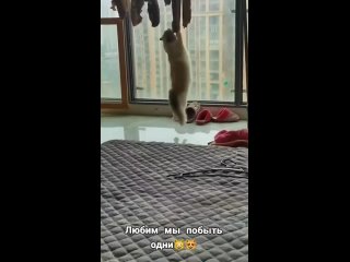 video from @videfunny | @videfunny