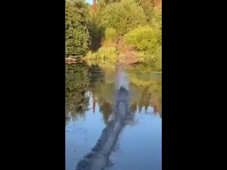 rabotnicki | @videfunny