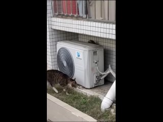 video from @videfunny | @videfunny