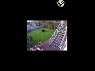 ran | @videfunny