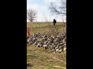 video from pro humor / bayan | @videfunny