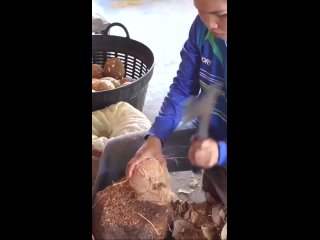 vine | @videfunny