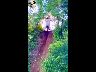 great day | @videfunny