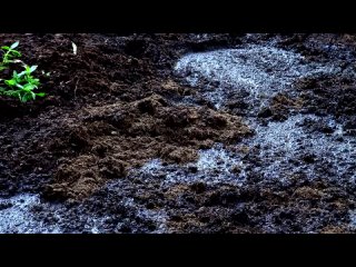 beyond the grave