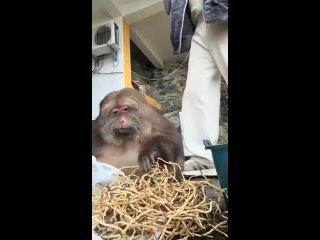 clip @videfunny | @videfunny