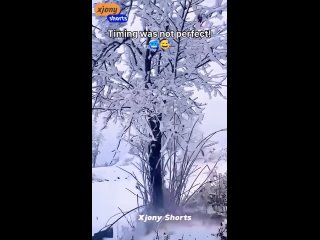 a selection of humor | @videfunny