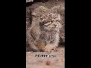 video from @videfunny | @videfunny